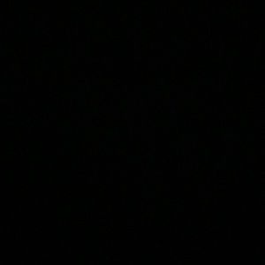 Meet your Posher, Will